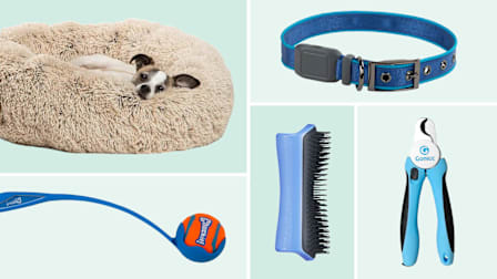 Sheri dog bed, Chuckit ball launcher, light up dog collar, Pet Teezer grooming brush, Gonicc dog nail trimmer