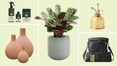Oya jugs, We the Wild Plant Care kit, spritzer, Barebones gathering bag, Easy Plant