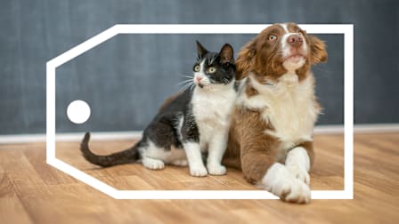 Dog and cat sitting surround by a price tag graphic.