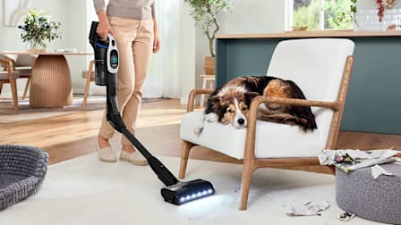 A person uses a Bosch Unlimited 10 BCS1041TUC cordless stick vacuum with a lighted floor head to clean a white rug in a brightly lit living room. Nearby, a guilty-looking Border Collie rests on a modern white armchair next to shredded pieces of newspaper scattered on the floor.