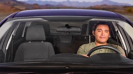 Buzzed driver
