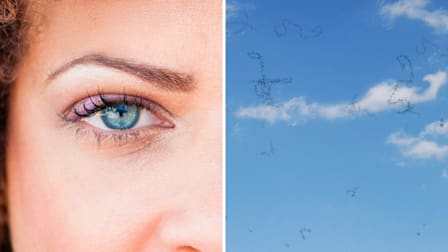 Split screen of close up on an adult human eye and examples of floaters seen against a blue sky with clouds.