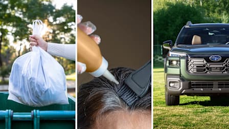 3 images from recent stories