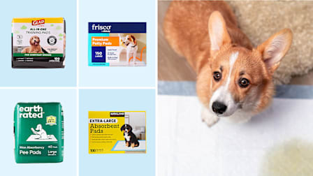 Glad, Frisco, Earth Rated, Kirklands puppy pads, corgi puppy standing on a puppy pad