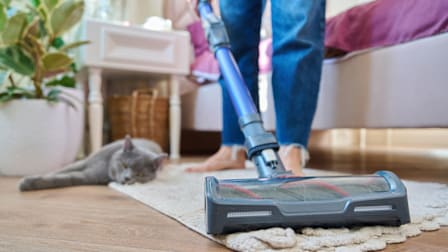 Person using vacuum in home while cat lounges.