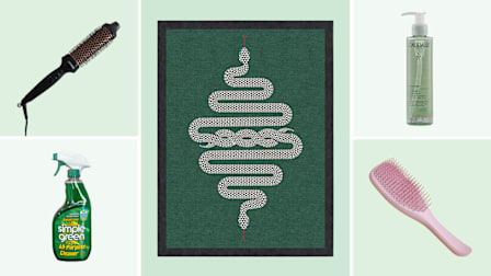 grid with Amika hairbrush, Simple Green All-Purpose Cleaner, Jonathan Adler Venom Ruggable Rug, Caudalie Micellar Water, and Amika Blowout Babe Thermal Brush tool on light green backgrounds