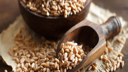 Farro vs. Brown Rice: The Whole Grain That's Best for You