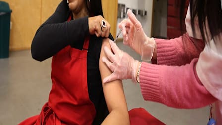 How to Fight the Flu This Year