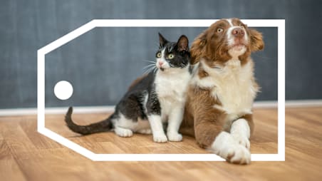 Best Deals on Everything For Your Fur Baby