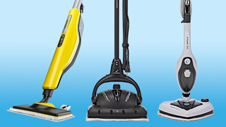 Best Steam Mops