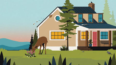 How to Get Rid of Any Pest in Your Home or Yard—for Good 