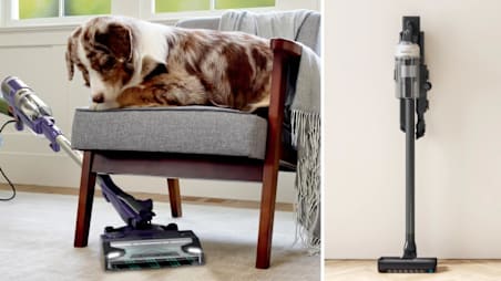 8 Best Stick Vacuums
