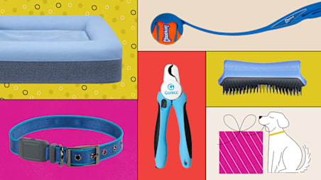 26 Best Gifts for Dog Lovers, According to Dog Owners