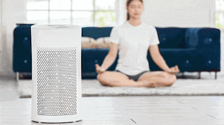 CR Staffers' Favorite Tips (and Products) for a Healthier Home in 2026