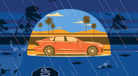 Illustration of an Orange sedan driving through stormy weather with rain, wind, and deer nearby.