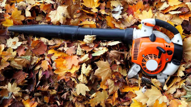Handheld leaf blower resting on ground in a bed of fallen leaves