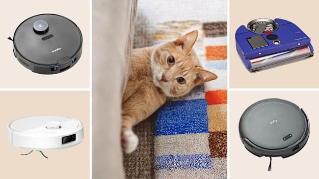 Eureka NERE10SW, Dyson 360 vis nav, Eufy C10 T2292, and iRobot Roomba Max 705 robotic vacuums and a cat lying on a rug and a carpet.