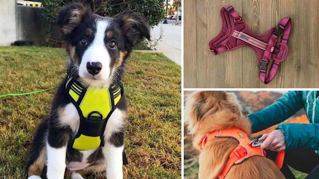 grid of three images (dog wearing Rabbitgoo harness, Wilderdog harness on wooden surface, and dog wearing Ruffwear harness while person attaches leash to harness)