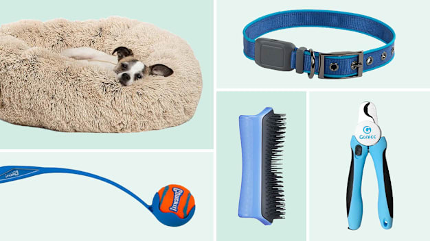 26 Best Gifts for Dog Lovers, According to Dog Owners