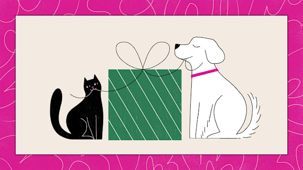 A cat and dog sitting beside a green gift box with a bow.