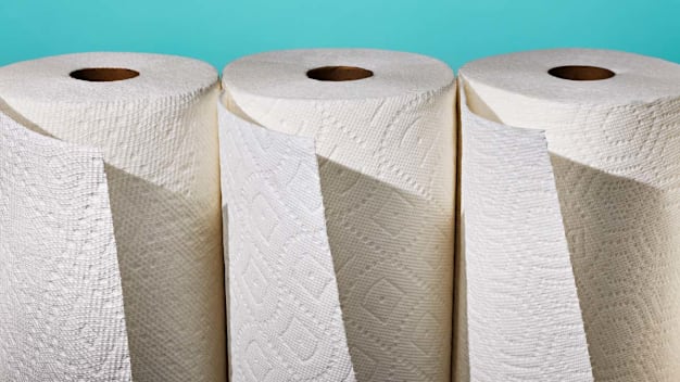  3 Best Paper Towels, Tested and Reviewed