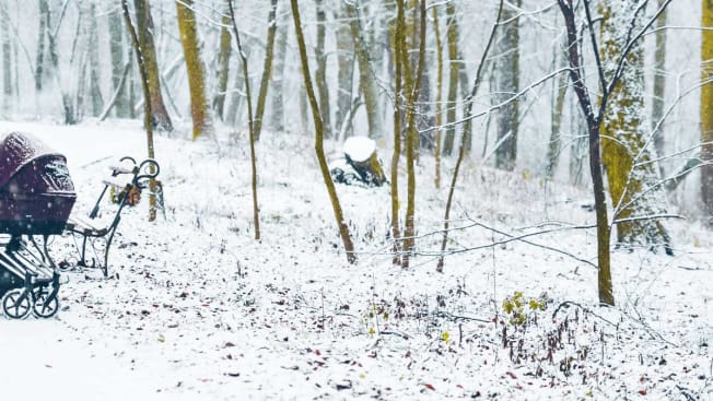 Mother walking with child in baby carriage in winter snowed park