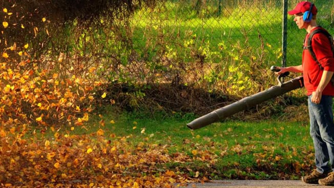 Man cleaning up fall leaves in yard with leaf blower