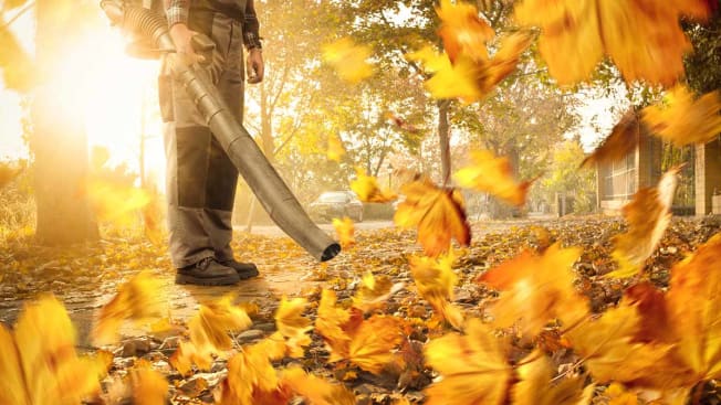 leaf blower