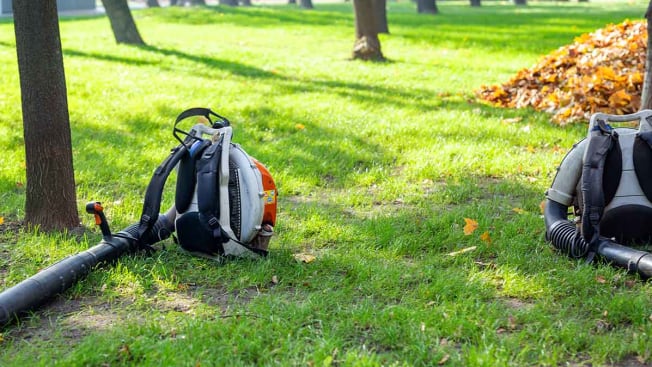backpack leaf blower on lawn with trees in background