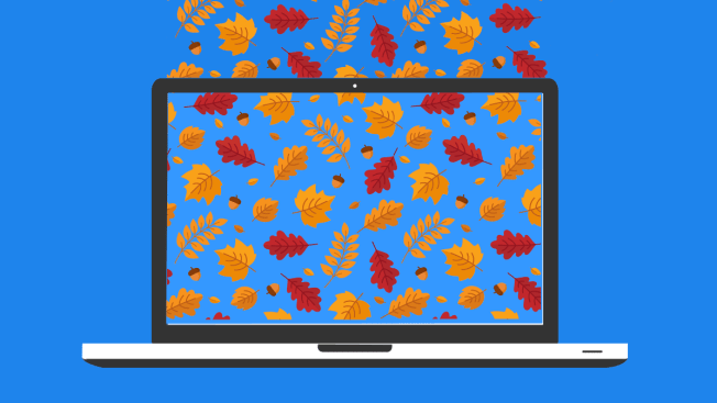 fall laptop