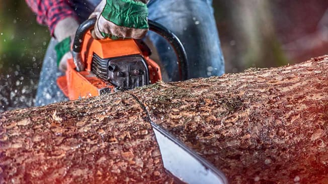 A person using a chainsaw to cut a tree