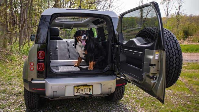 Land Rover Defender Cargo Area with Dog