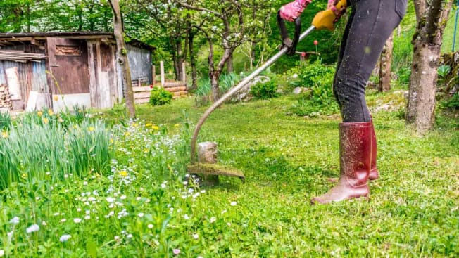 detail of person using string trimmer to trim long grass in yard with barn in background