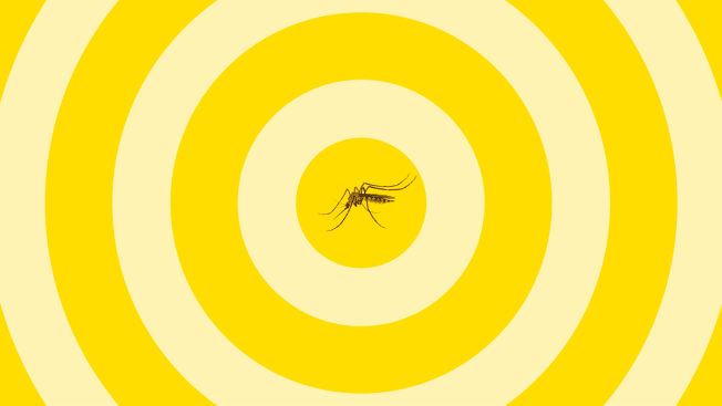 mosquito in center of yellow target