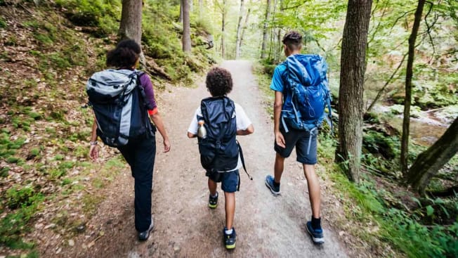 family hiking in the woods