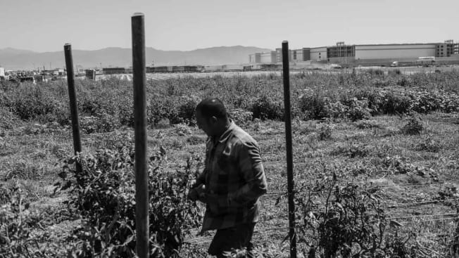 Edgar Jaime walks along his farm as the Amazon warehouse looms from the distance.