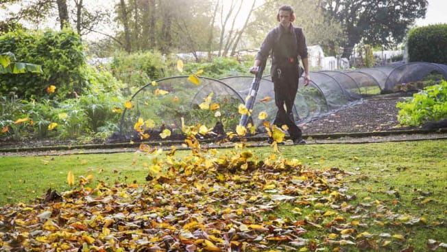 A person blowing leaves away with a leaf blower
