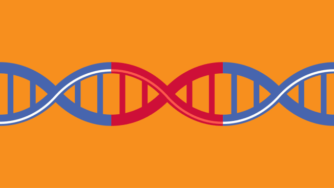 illustration of blue double helix with section in red
