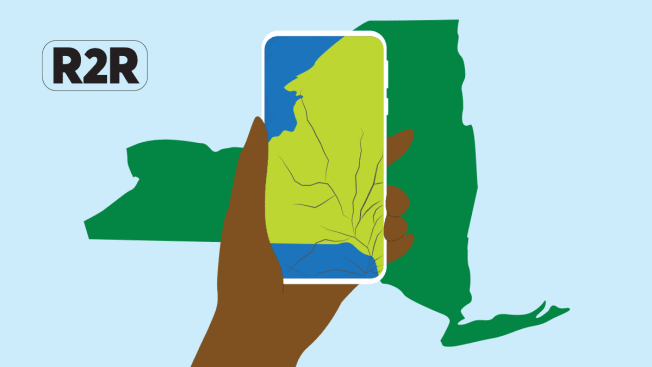 An illustration of a hand holding a cracked cell phone over the state of New York.