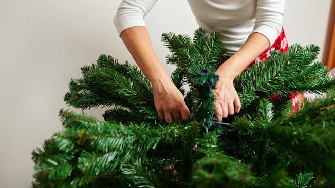 close up of person setting up artificial Christmas tree, adjusting branches on tree to section of tree