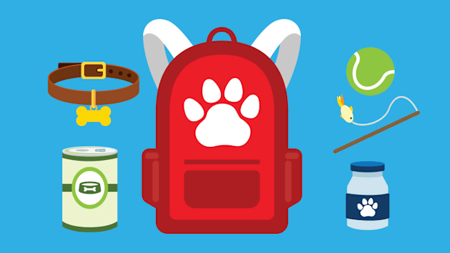 Red backpack with paw icon surrounded by a tennis ball, pet collar, pet medications, pet food, and fish cat toy
