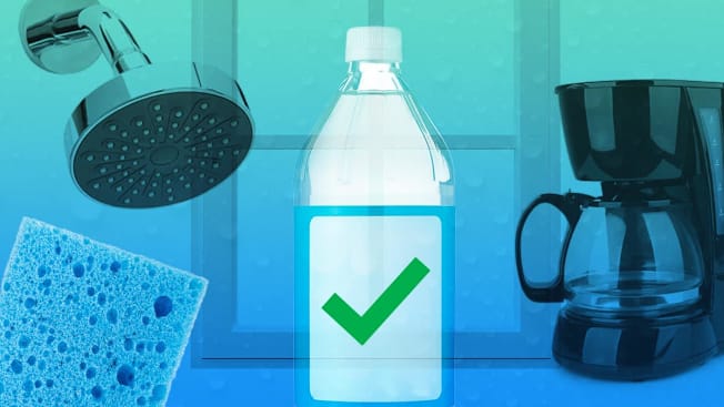 Sponge, showerhead, window, coffeemaker, and vinegar bottle with check mark on it