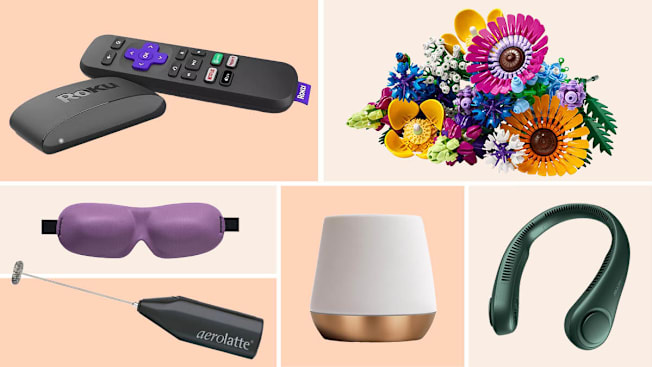 Roku, Lego wildflower set, sleep mask, Aerolatte frother, neck fan, ceramic mug