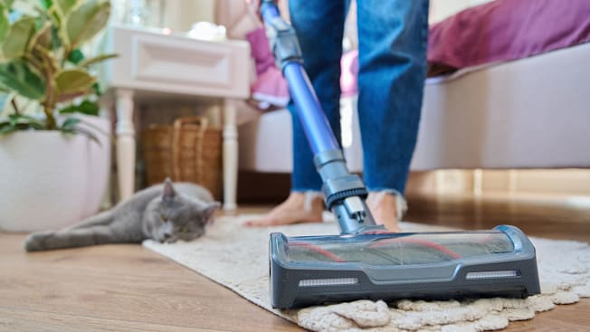 Person using vacuum in home while cat lounges.