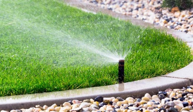 sprinklers lawn