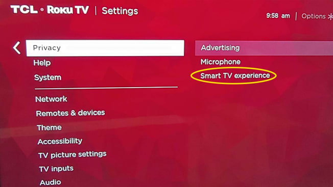 screenshot of privacy settings for TCL