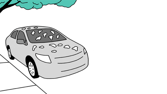 A gif of a car sitting under a treat being hit by bird poop.