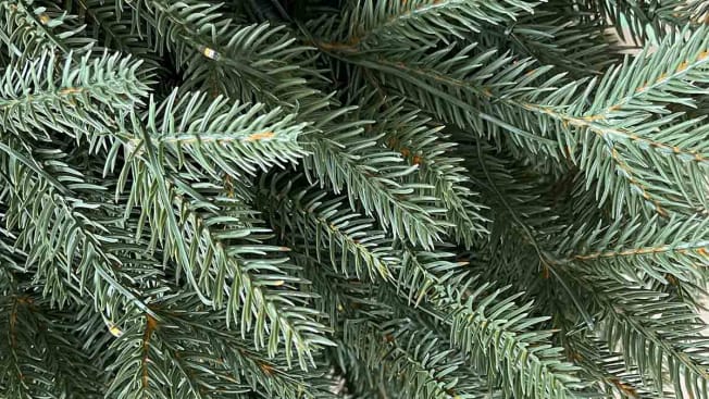 close up of artificial tree needles