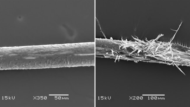 microscope image of heat-damaged hair strand