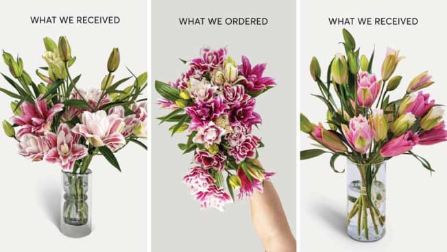 two Farmgirl Flowers deliveries compared to image from their website